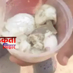 Bihar School News: मोतिहारी में मिड-डे मील में सड़ा अंडा और कीड़ा, व्यवस्था पर उठे बड़े सवाल