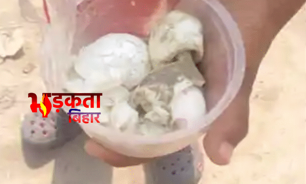 Bihar School News: मोतिहारी में मिड-डे मील में&hellip;