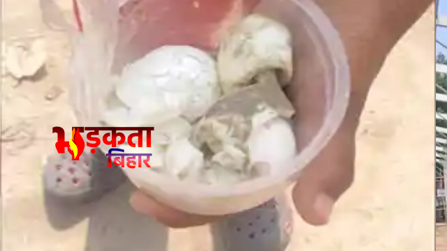 Bihar School News: मोतिहारी में&hellip;