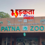 पटना जू में भारी तबाही: आंधी-बारिश से 30 से अधिक पेड़ गिरे, 52 साल में पहली बार लगातार 2 दिन बंद