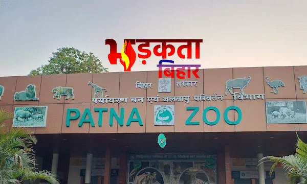 पटना जू में भारी तबाही: आंधी-बारिश से 30…