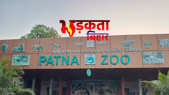 पटना जू में भारी तबाही: आंधी-बारिश से 30 से अधिक पेड़ गिरे, 52 साल में पहली बार लगातार 2 दिन बंद