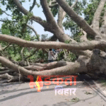 बिहार में आंधी-तूफान का कहर, भागलपुर में 7 की मौत; बिजली व्यवस्था ध्वस्त, पूरा जिला अंधेरे में डूबा
