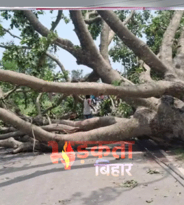 बिहार में आंधी-तूफान का कहर, भागलपुर में 7&hellip;