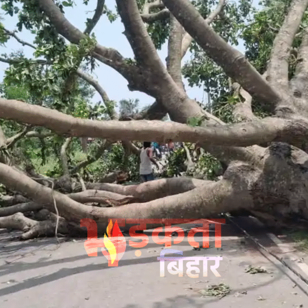 बिहार में आंधी-तूफान का कहर, भागलपुर में 7&hellip;