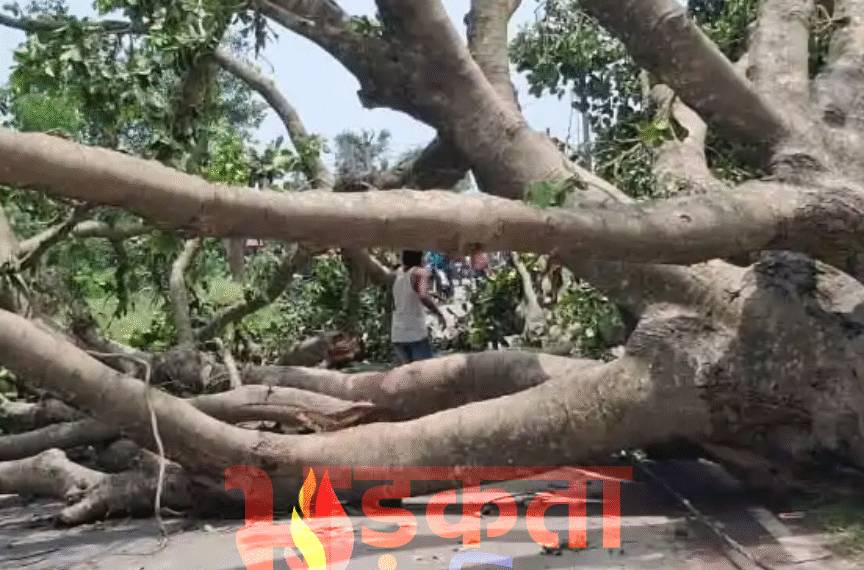 बिहार में आंधी-तूफान का कहर, भागलपुर में 7 की मौत; बिजली व्यवस्था ध्वस्त, पूरा जिला अंधेरे में डूबा