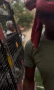 मुर्गा रखने के विवाद में बुजुर्ग दंपती की&hellip;
